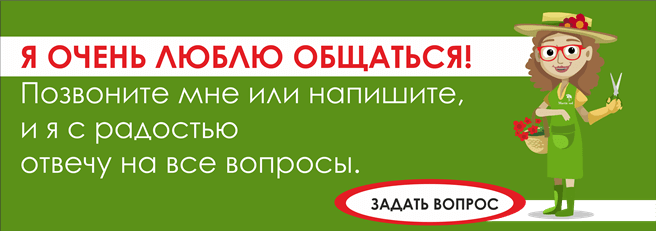 sovetnik