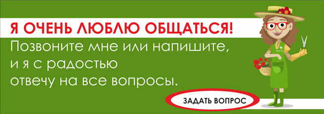 Каталог Интернет Магазинов Саженцев