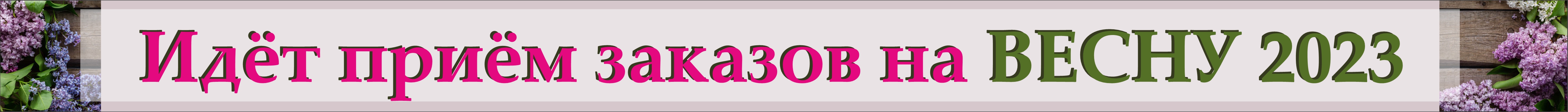 заказ на весну 2023