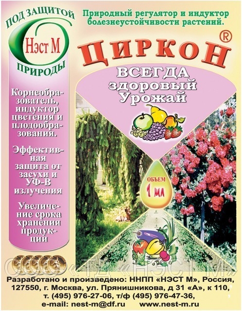Циркон