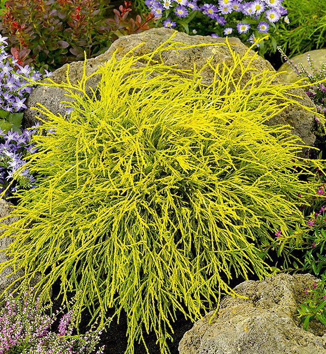 Смотреть порно видео: Баласы қарсылық көрсете алмай, анасын ұрып тастады Порно қуыс қуыс