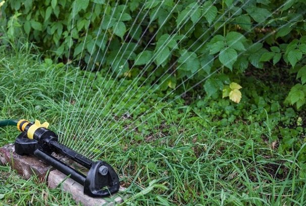 Полив малины