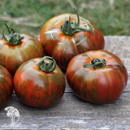 Томат Полосатый Шоколад (2-ной пак.)