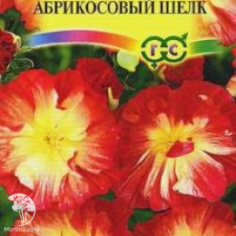 Эшшольция Абрикосовый шелк, махровая