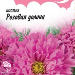 Космея Розовая долина махровая, серия Розовые сны