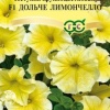 Петуния Дольче Лимончелло F1 (серия Фарао) крупноцветковая фото 1 