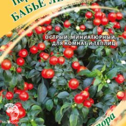 Перец кустарниковый Бабье лето 