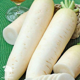 Дайкон Московский богатырь