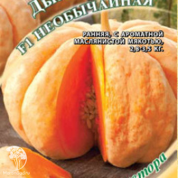 Дыня Необычайная F1 автор.