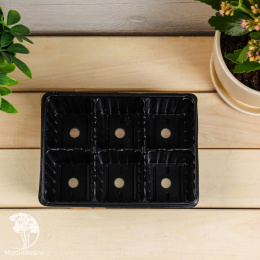 Кассета для рассады, 6 ячеек по 120 мл