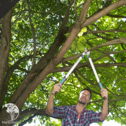 Сучкорез Gardena EasyCut 680B