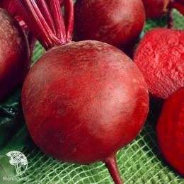 Набор семян Свекла