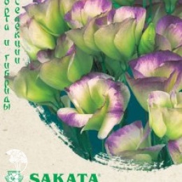 Эустома Пикколо Северное сияние F1 Саката