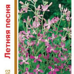 Маттиола двурогая Летняя песня