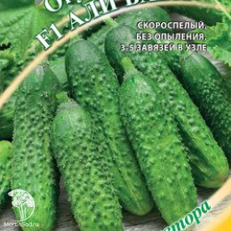 Огурец Али-Баба F1 