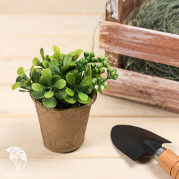 Торфяной горшок, 100 мл, 6 × 6 см «Умный город»