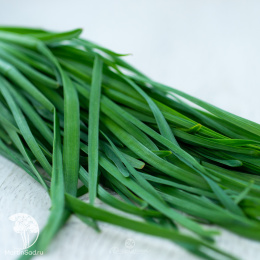 Лук душистый Пикантный ---  Мн