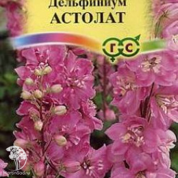 Дельфиниум Астолат