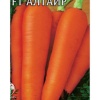 Морковь Алтаир фото 1 