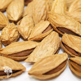 Миндаль Бумажный