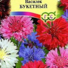 Василек Букетный, синий (смесь)