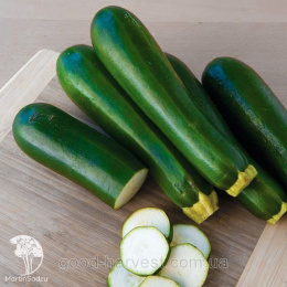 Кабачок Цукеша 