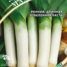 Лук порей Мамонт