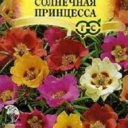Портулак Солнечная принцесса серия Элитная клумба