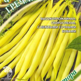 Фасоль Гречанка