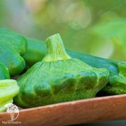 Патиссон Нуф-нуф 