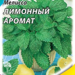 Мелисса лекарственная Лимонный аромат 