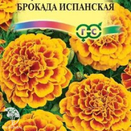 Бархатцы откл. Брокада испанская (Тагетес) 