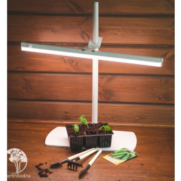 Кассета для рассады, 6 ячеек по 120 мл