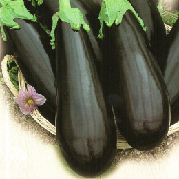 Баклажан Байкал F1 