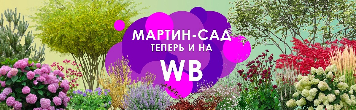 Мартинсад на WB