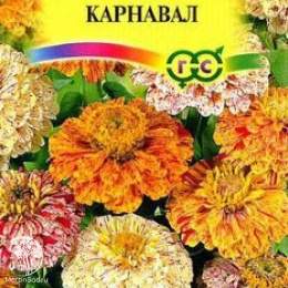 Цинния Карнавал