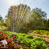 Дождеватель осциллирующий Gardena AquaZoom compact фото 3 