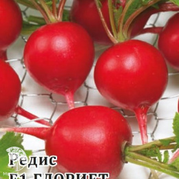 Редис Глориет F1 (Саката)