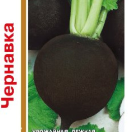 Редька Чернавка