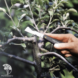 Нож для прививок K60