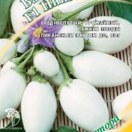 Баклажан Пинг-понг