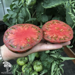 Томат Полосатый Шоколад (2-ной пак.)