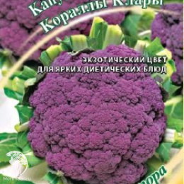 Капуста цветная Кораллы Клары