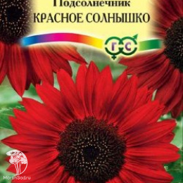 Подсолнечник Красное солнышко 0,5 г DH