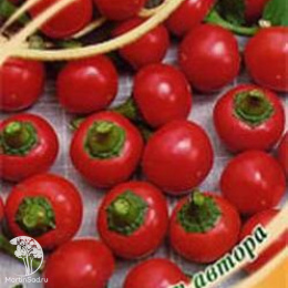 Перец Конфетка F1