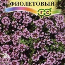 Тимьян пурпурно-фиолетовый серия Альпийская горка