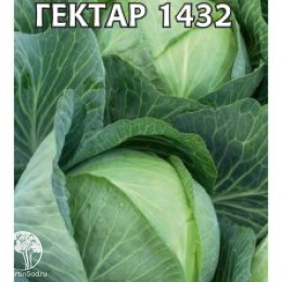 Капуста белокоч. Золотой гектар (ранняя)