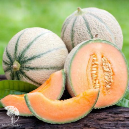 Дыня Блонди F1 15 шт. автор.