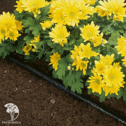 Шланг Gardena сочащийся 7,5 м