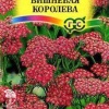 Тысячелистник Вишневая королева фото 1 